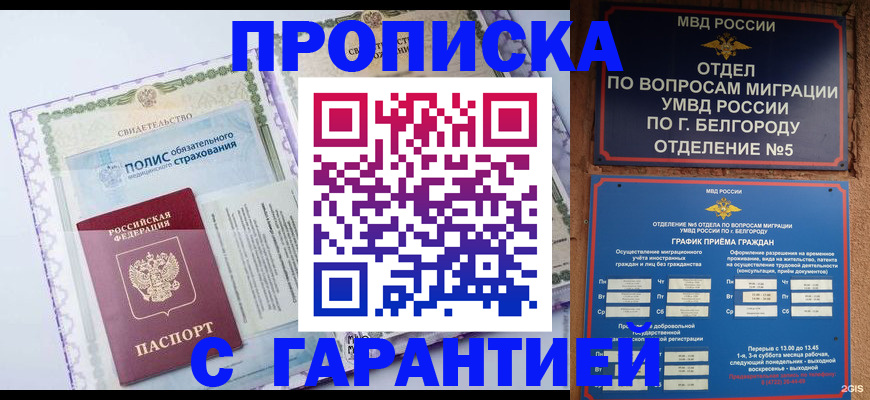 временная регистрация гарантия в Павловске